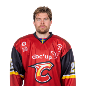 johan lindholm