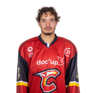 thibaut sapelkine
