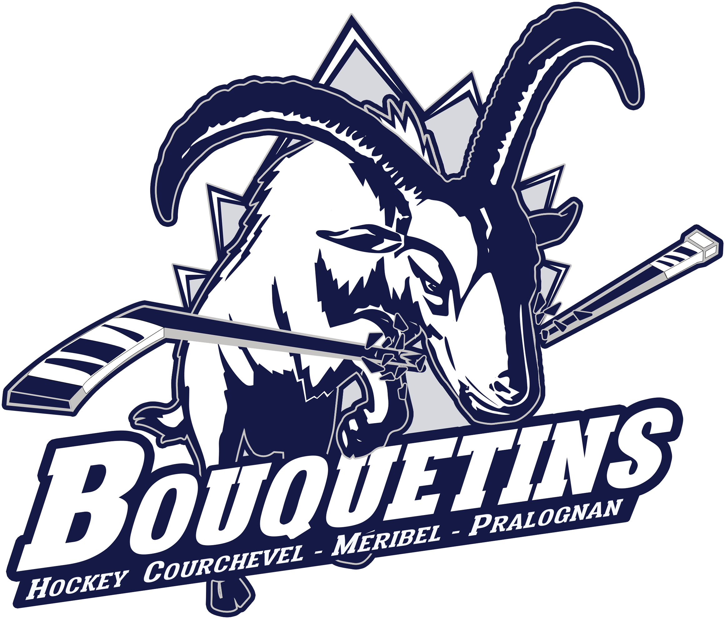 Logo des bouquetins HCMP